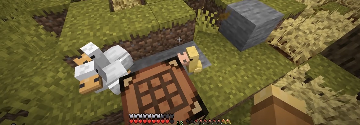 Neuer Server, Neues Glück